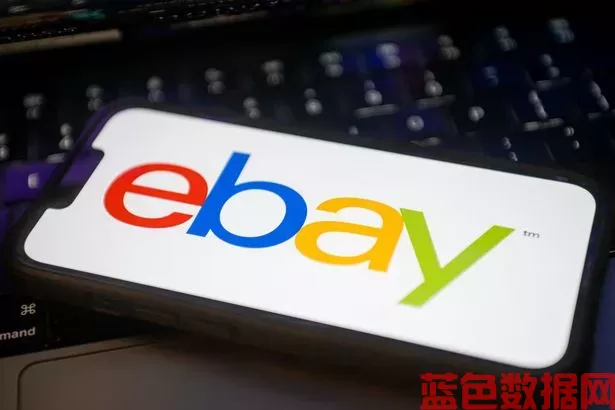 “我十几岁的时候就在eBay上卖了25万